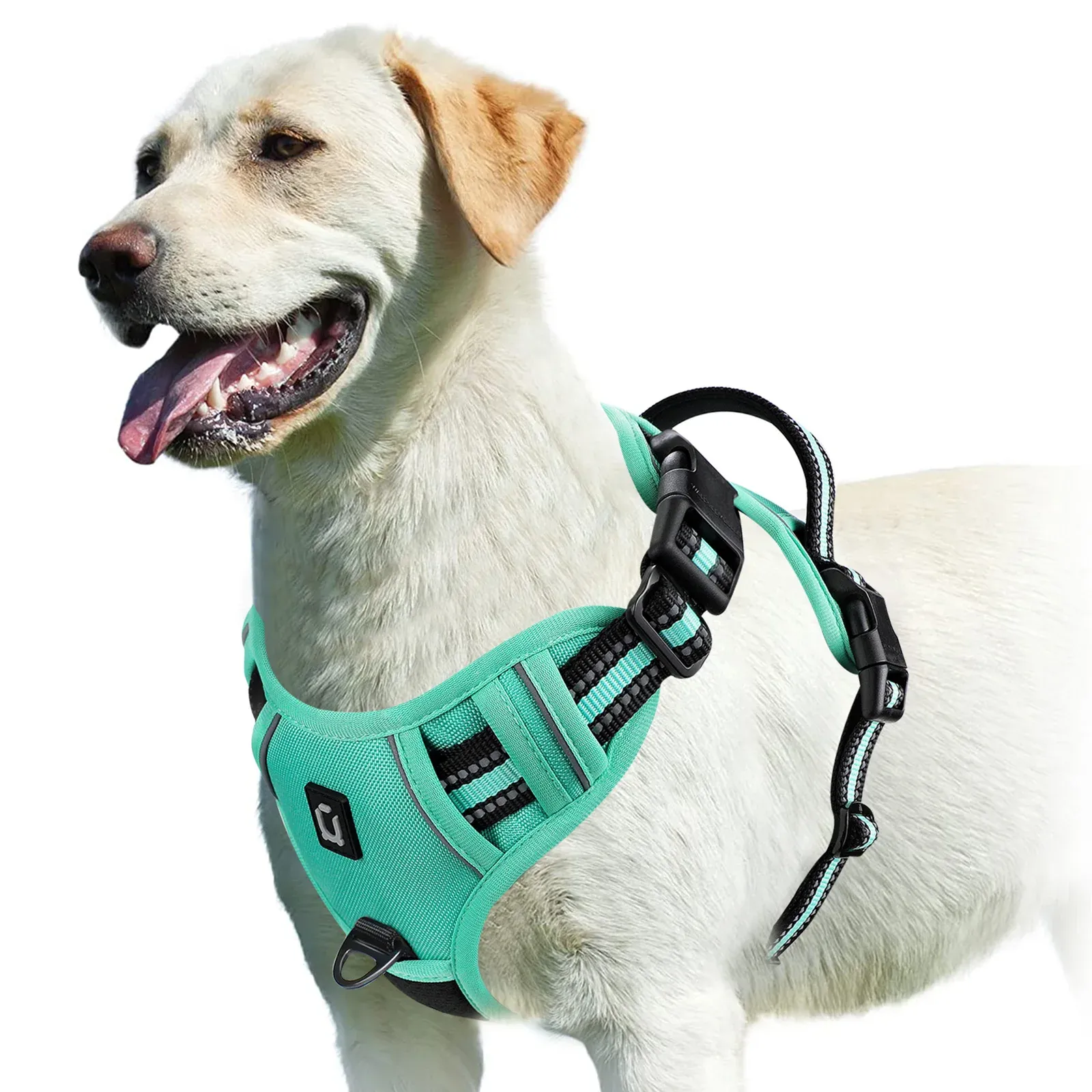 Harnais pour chien rembourré et réglable avec poignée de maîtrise 13