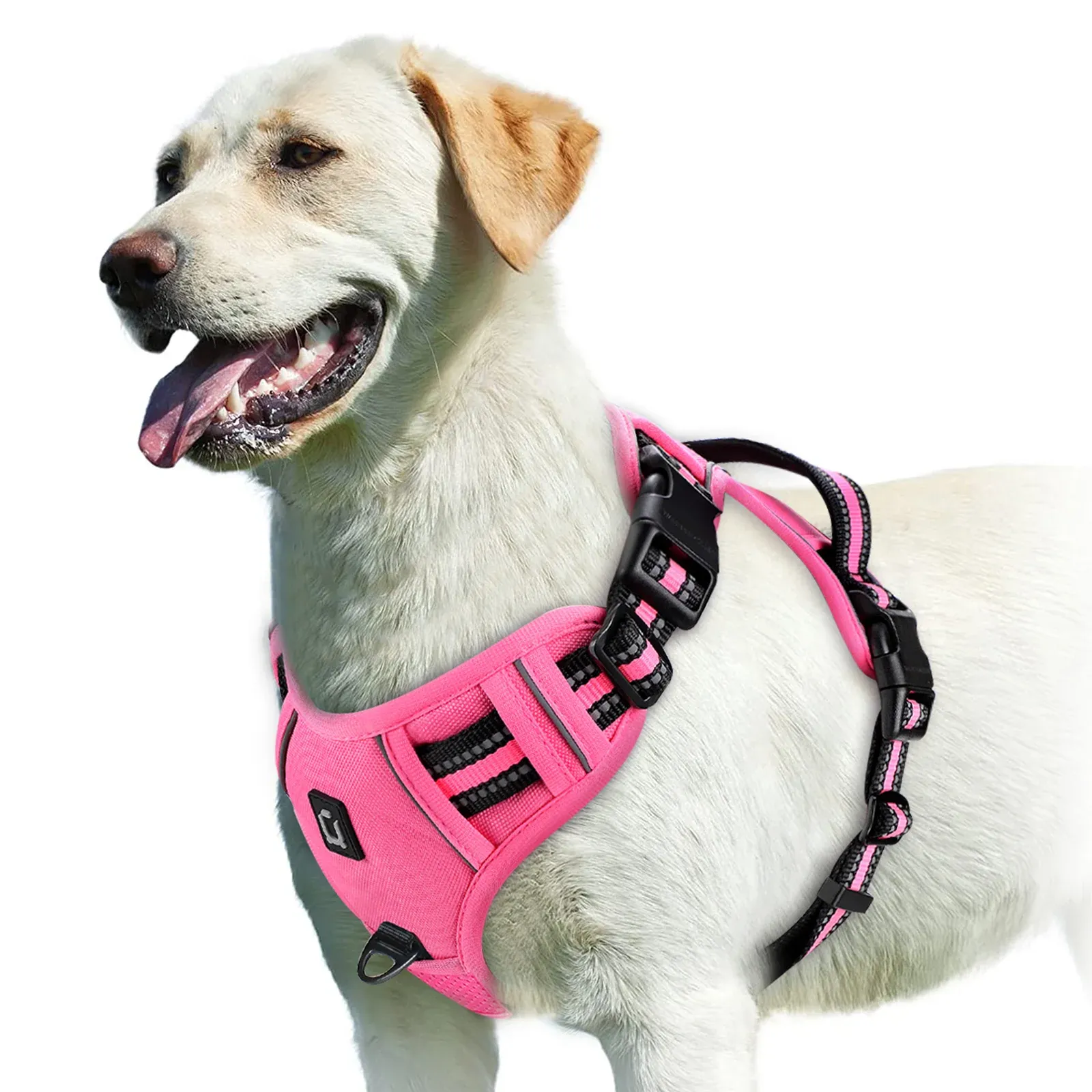 Harnais pour chien rembourré et réglable avec poignée de maîtrise 9