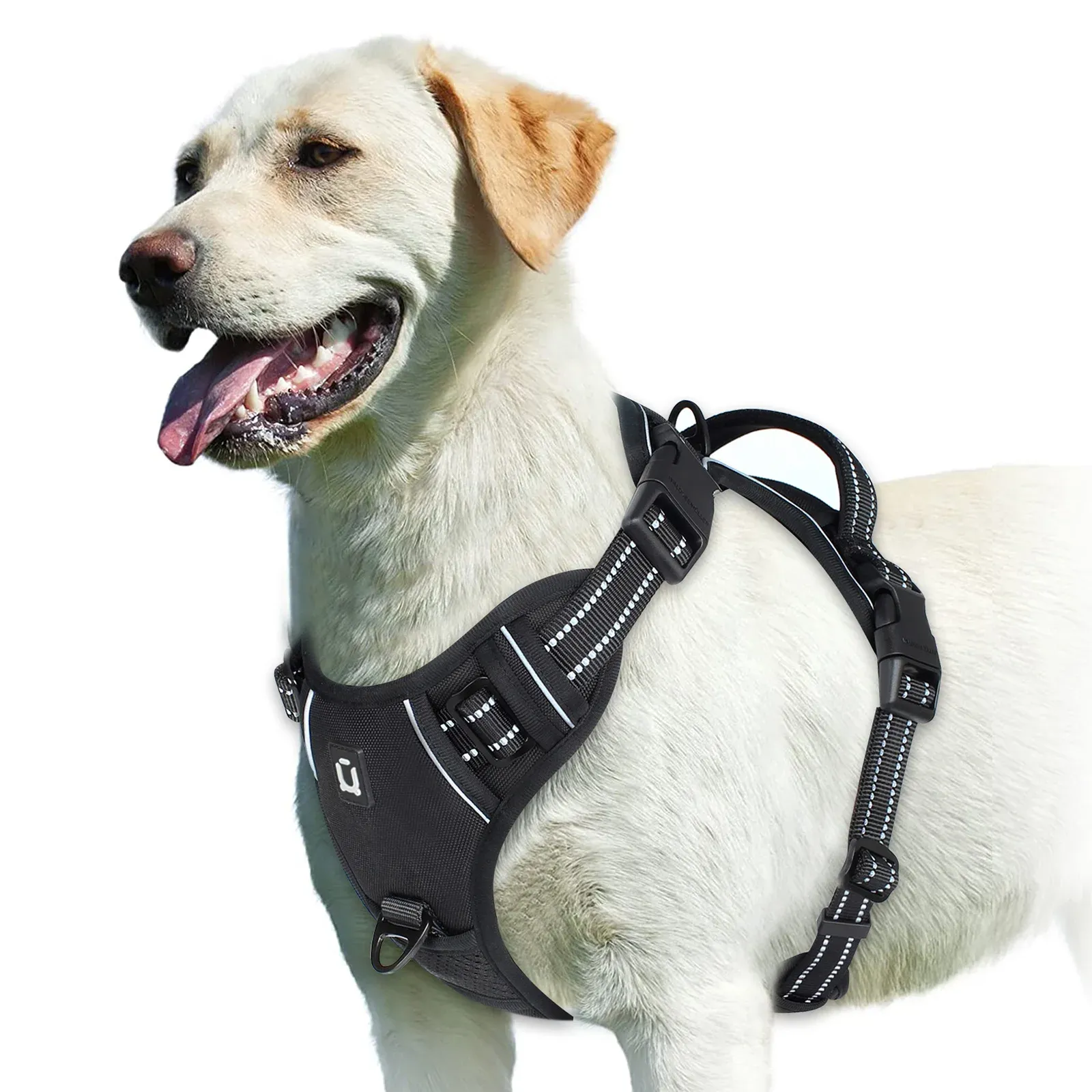 Harnais pour chien rembourré et réglable avec poignée de maîtrise 11