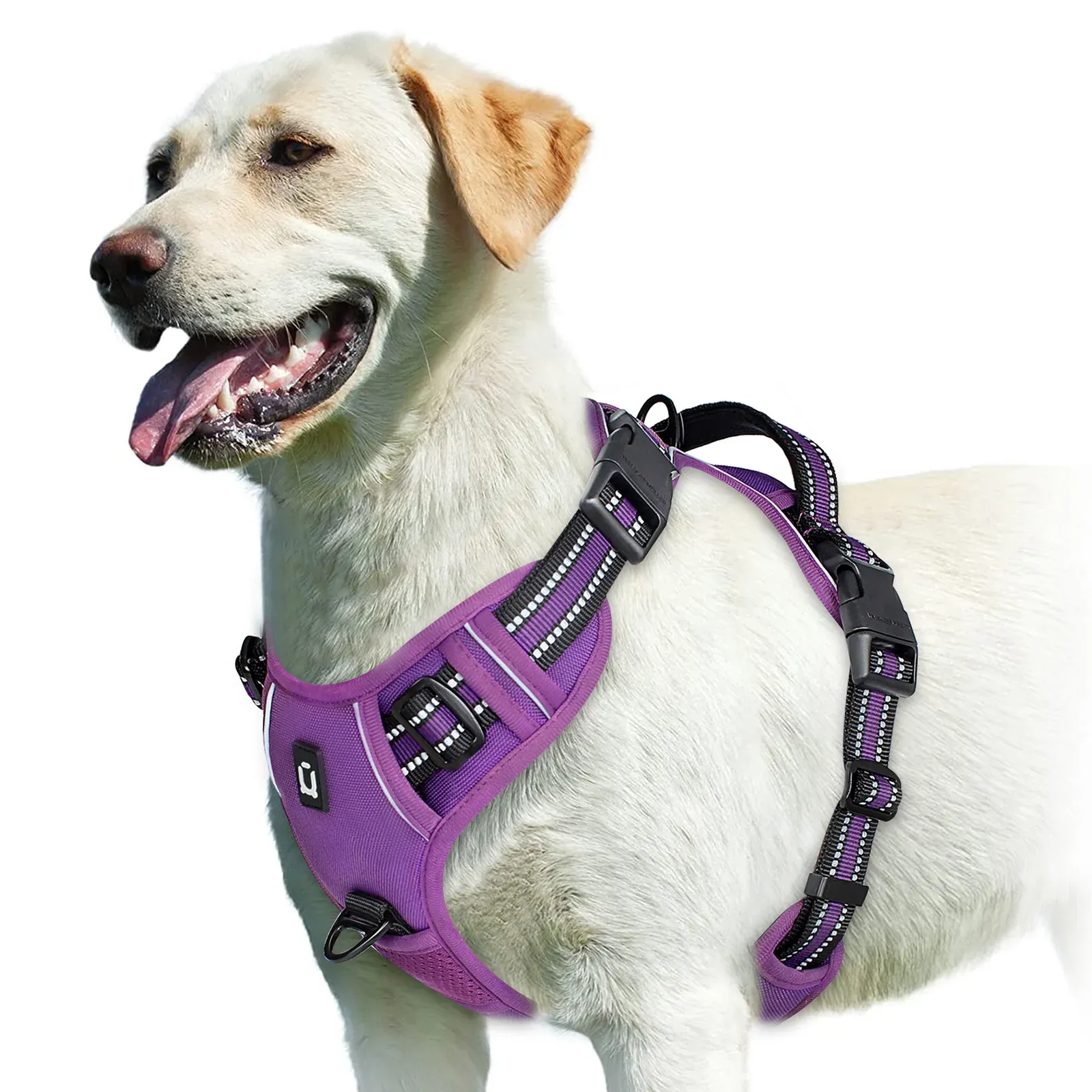 Harnais pour chien rembourré et réglable avec poignée de maîtrise 8