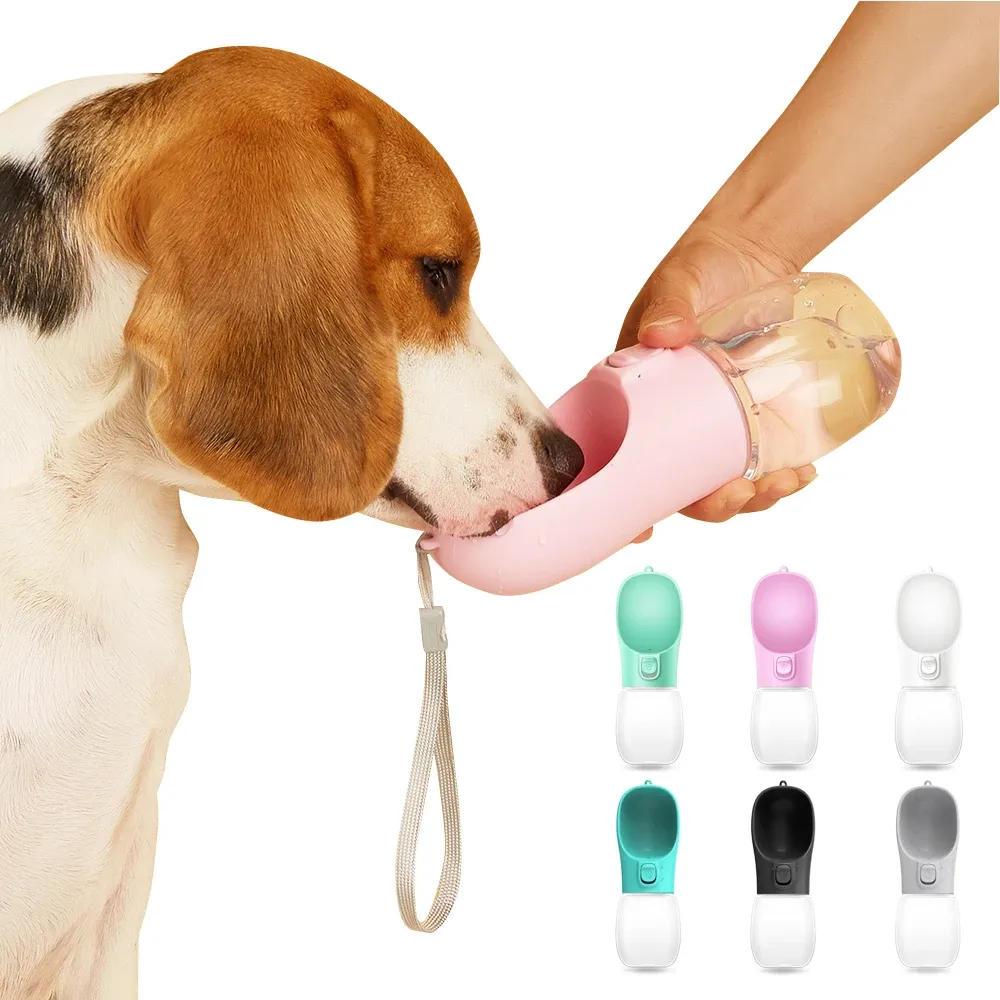 Gourde pour chien avec bac à eau