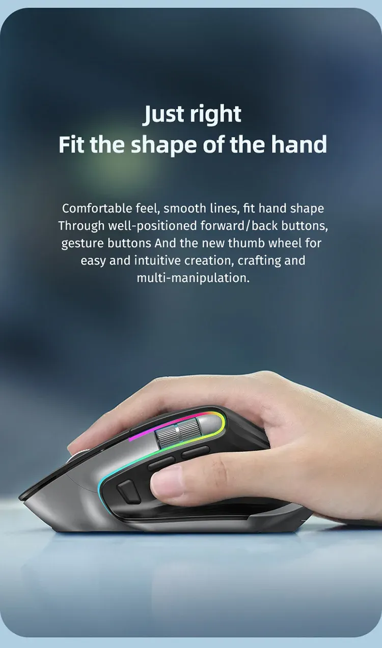 Souris sans fil au design élégant