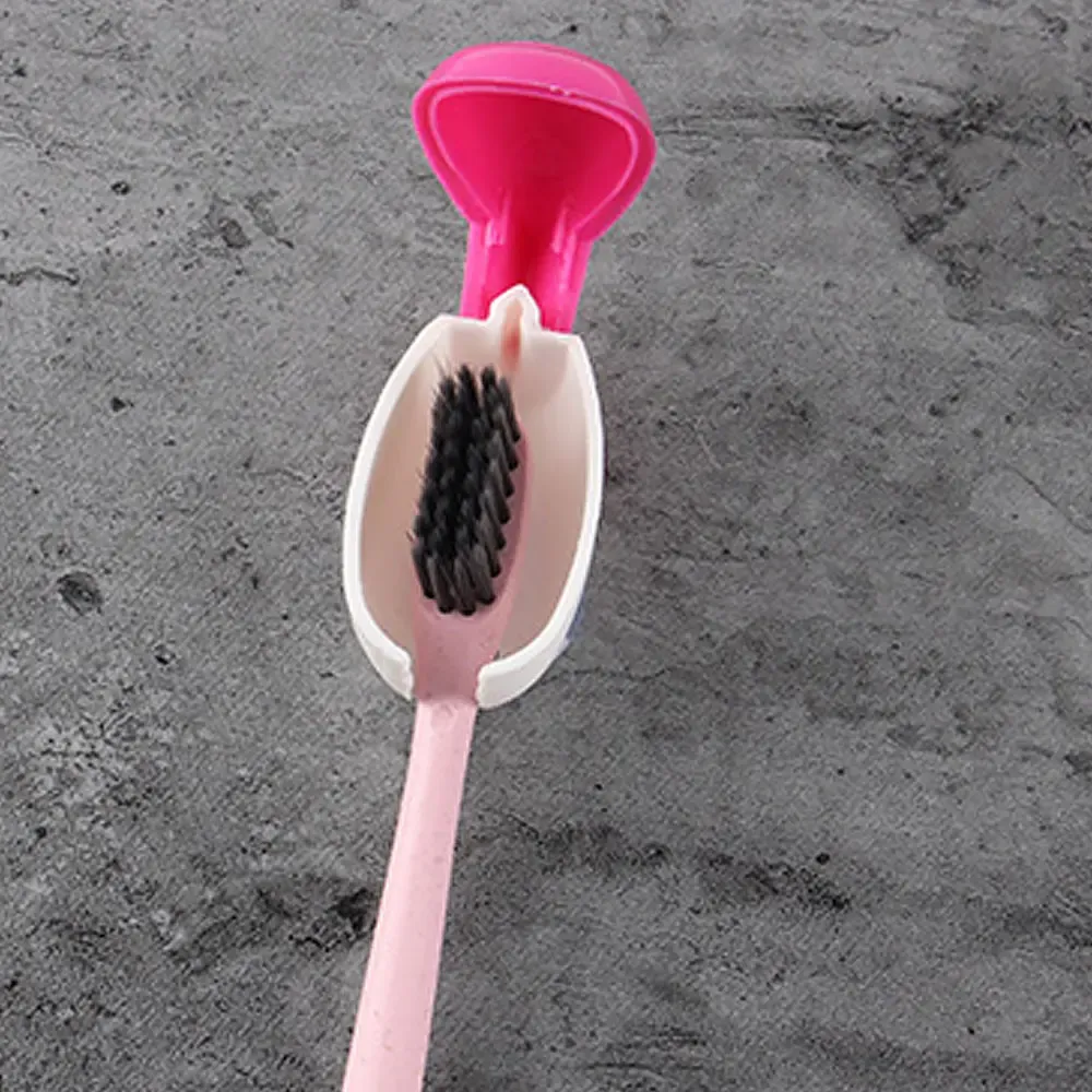 Porte-brosses à dents mural, vue finale