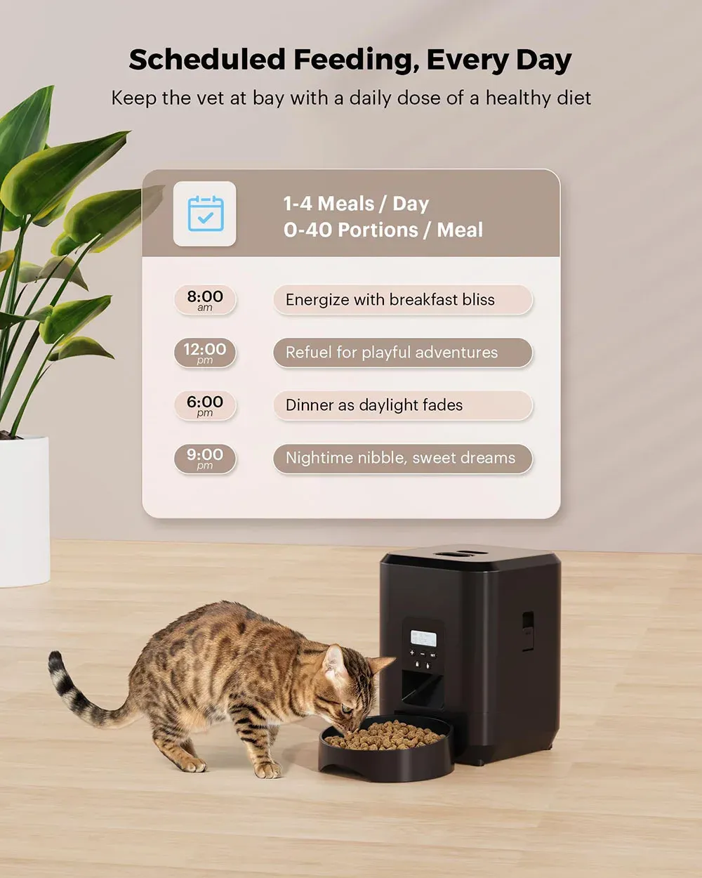 Distributeur automatique pour animaux de compagnie, en situation
