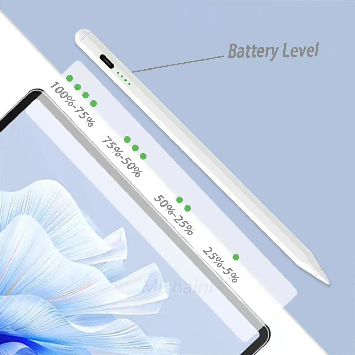 Détail du stylet
