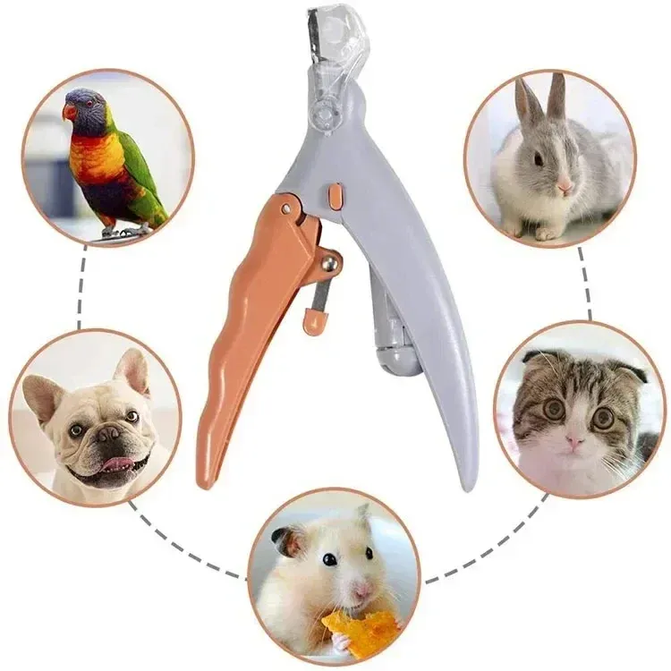 Coupe-ongles LED pour animaux de compagnie