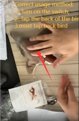 Jouet interactif oiseau pour chat et chien, vue détaillée