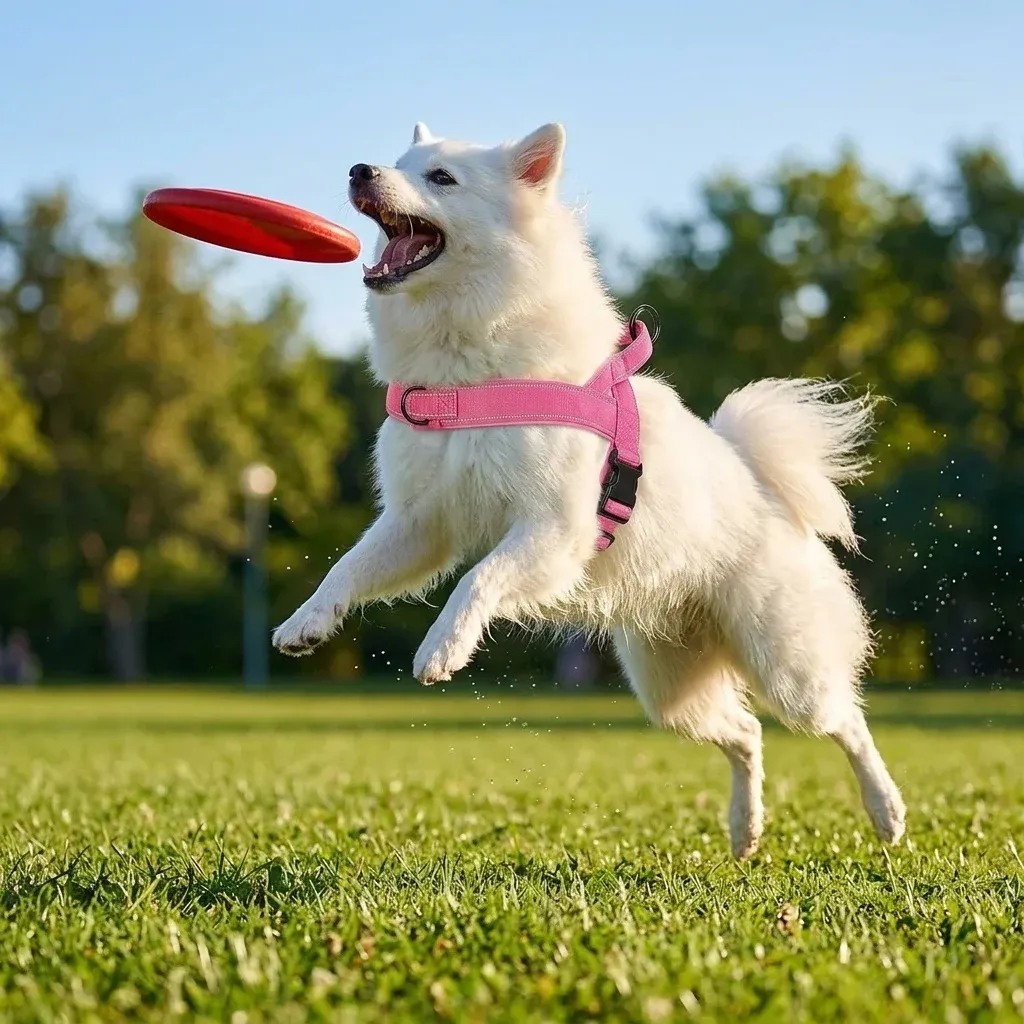 Harnais tactique anti-traction pour grand chien : gilet robuste à bande réfléchissante, réglable et rembourré 3
