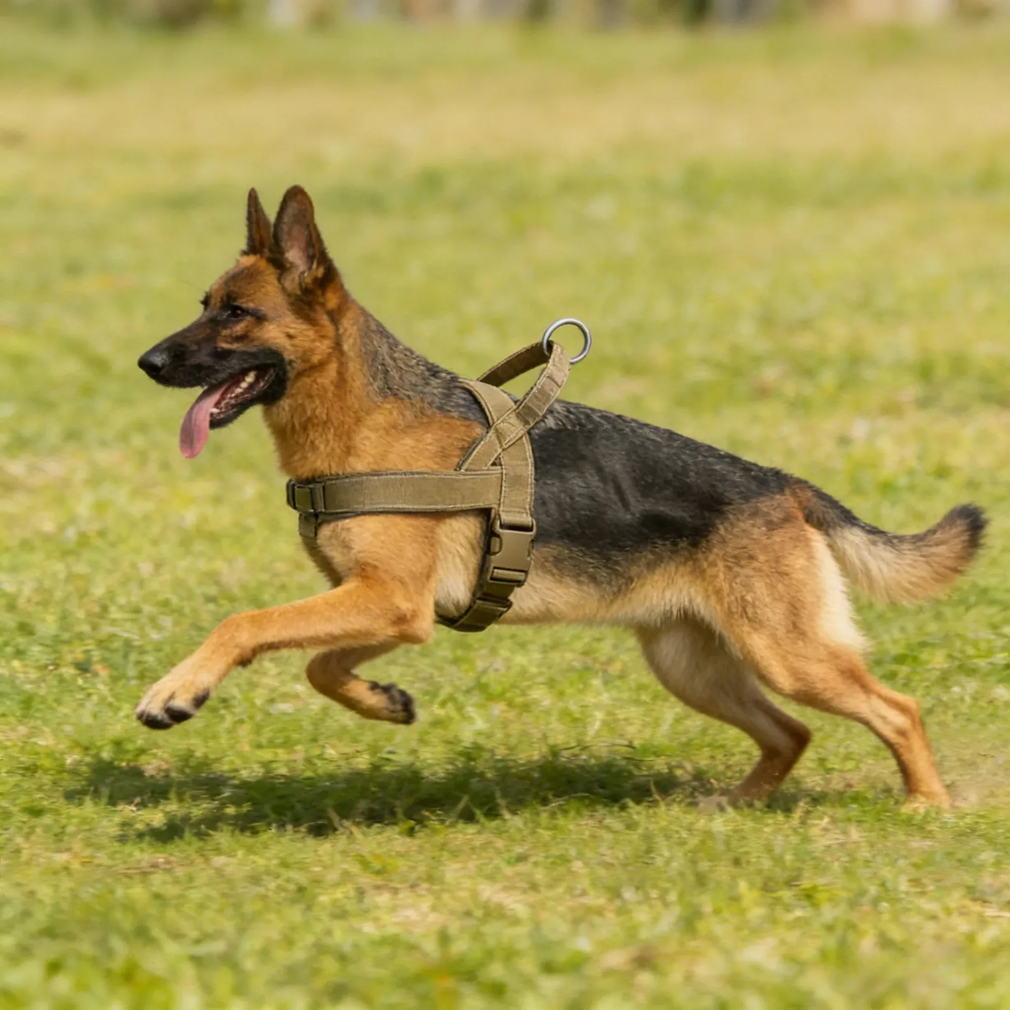 Harnais tactique anti-traction pour grand chien : gilet robuste à bande réfléchissante, réglable et rembourré 2
