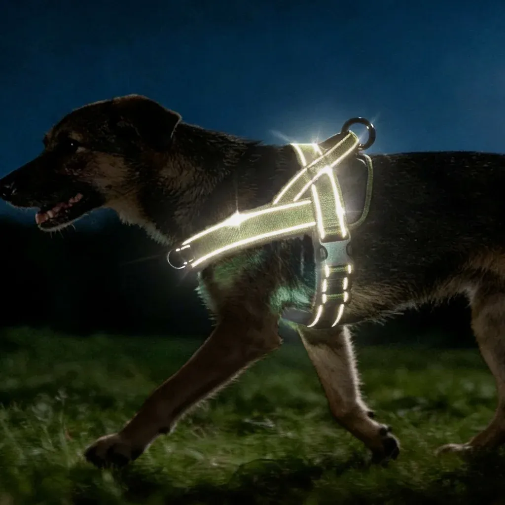 Harnais tactique anti-traction pour grand chien : gilet robuste à bande réfléchissante, réglable et rembourré 4