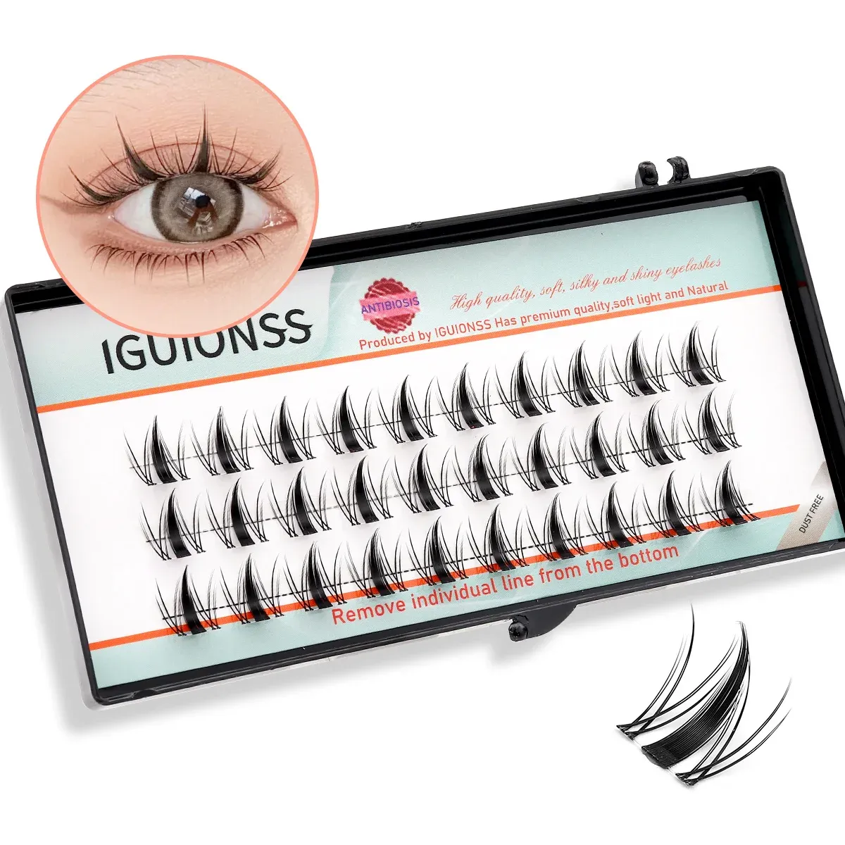Bouquets de Cils DIY – Extensions de Cils Individuels Naturels Effet Wispy, Courbure C/D – IGUIONSS 10
