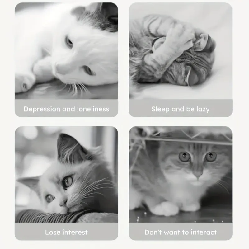Jouet interactif pour chat et chien
