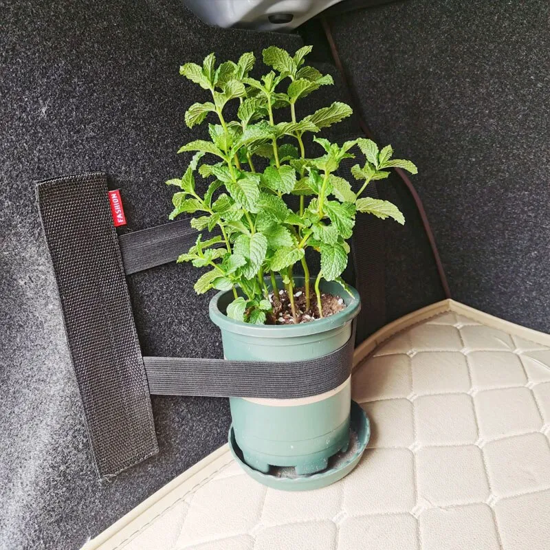 Filet de rangement pour coffre arrière, vue rapprochée