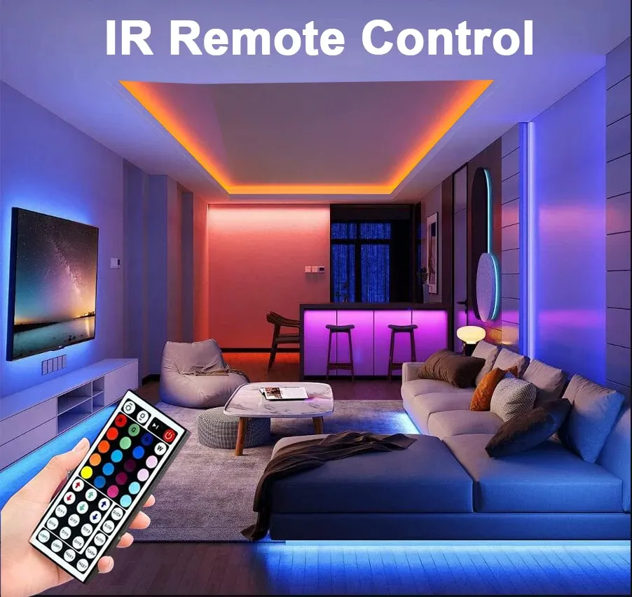 Détail de la télécommande compacte