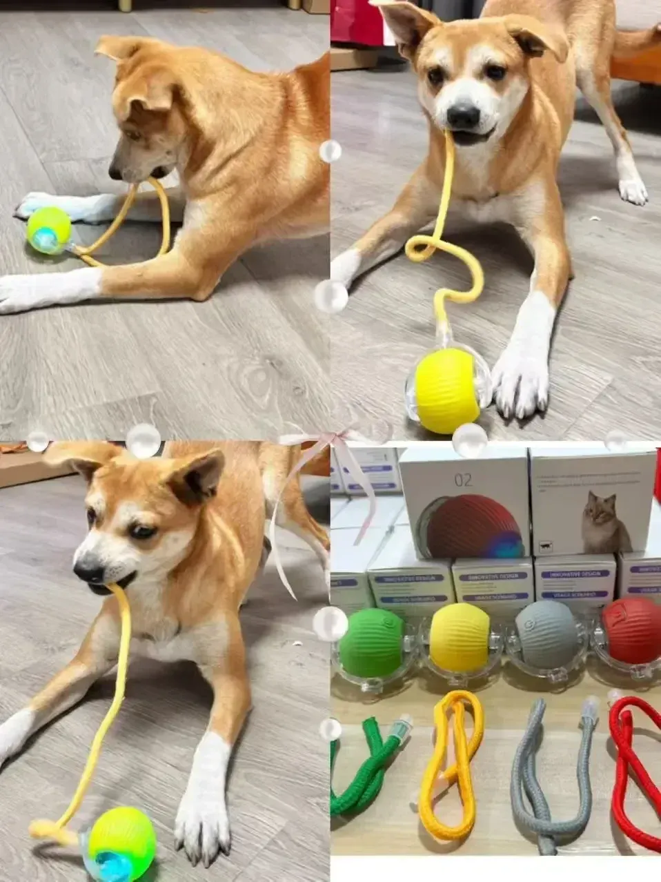 Balle intelligente pour chat, vue d'ensemble