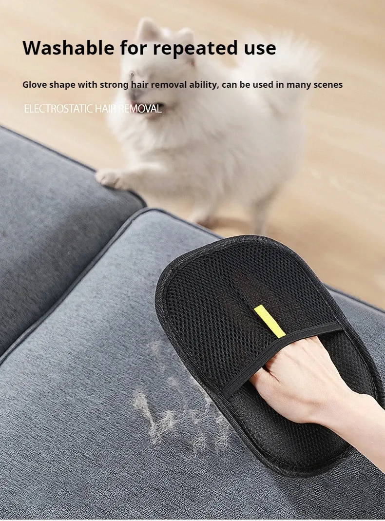 Brosse anti-poils en contexte domestique