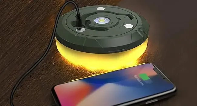 Batterie rechargeable 2000 mAh