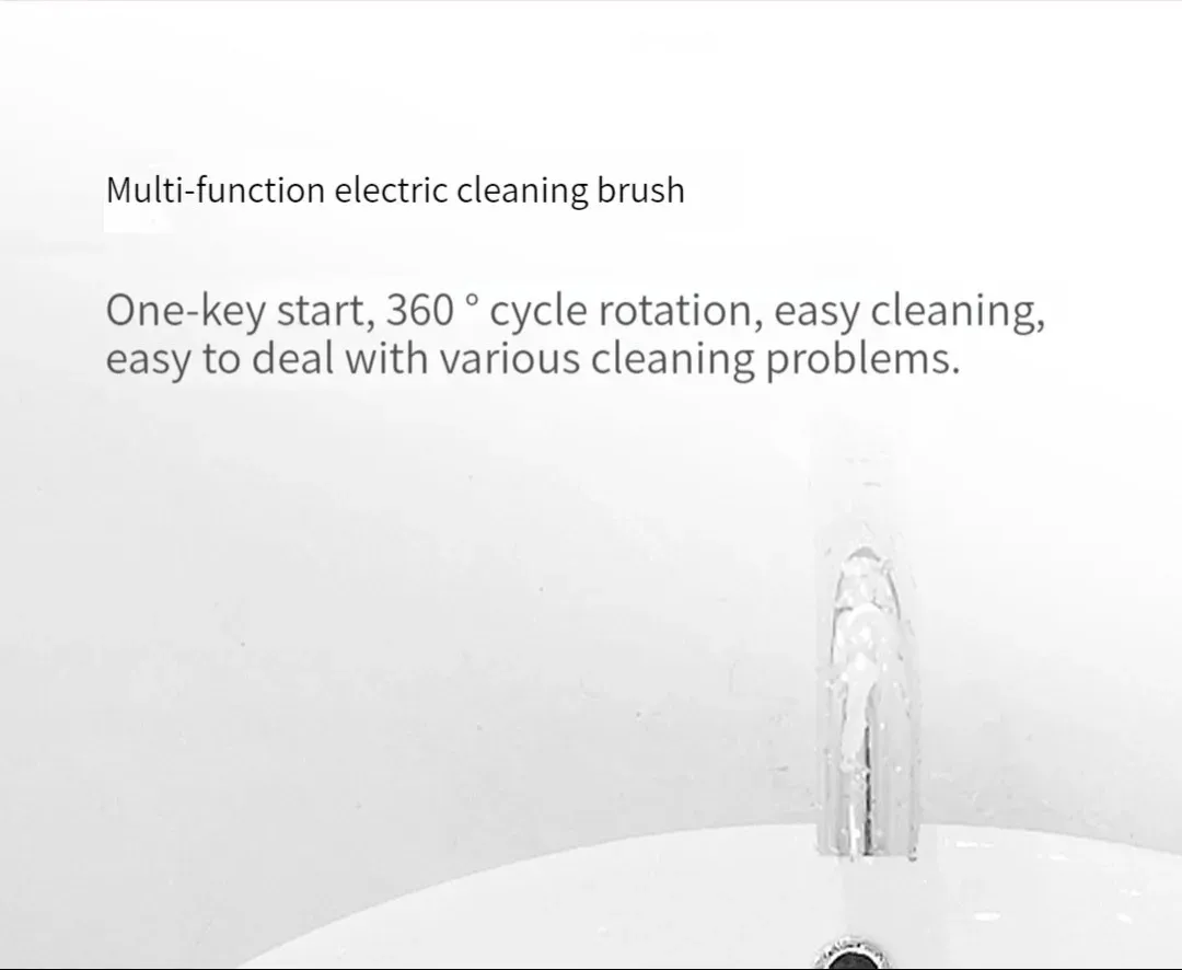 Brosse Xiaoda sur fond clair