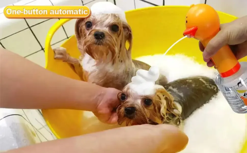 Mousse produite par le distributeur pendant le bain d'un chien