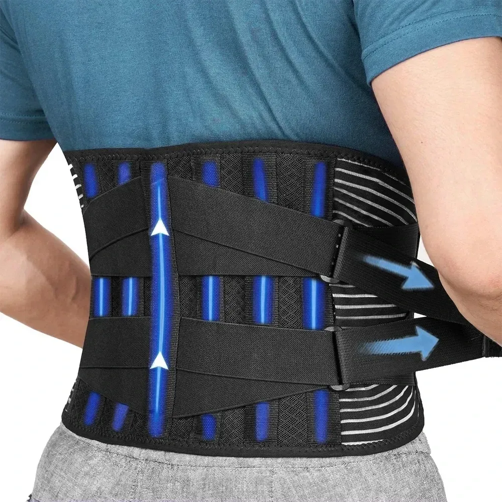 Détail de la structure de soutien dorsal