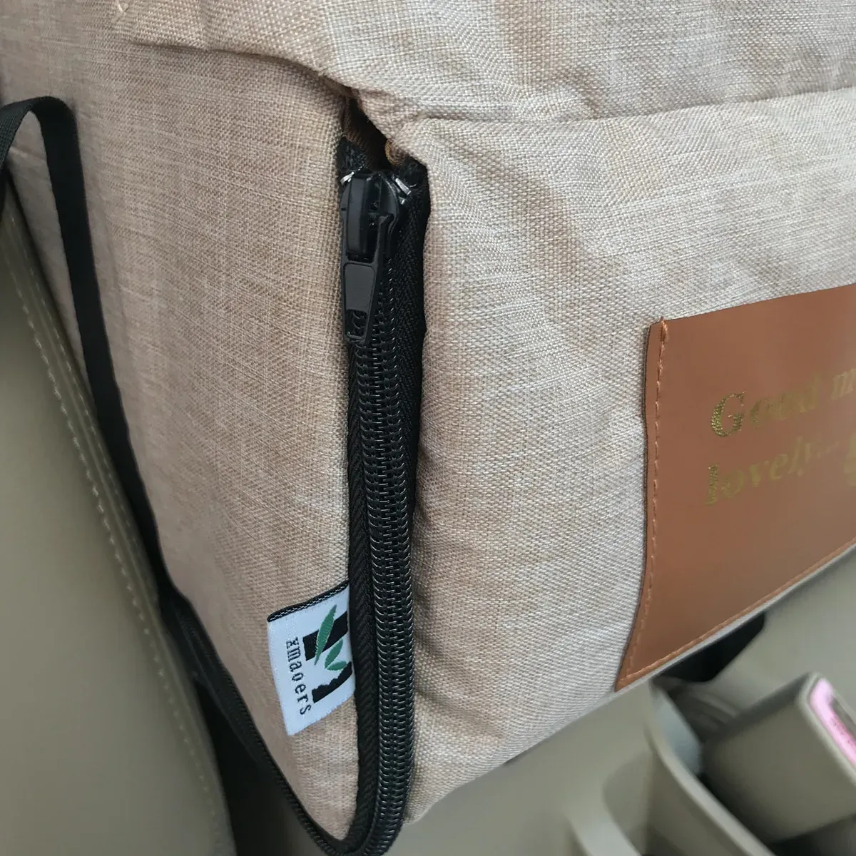 Ambiance lifestyle avec animal de compagnie en voiture