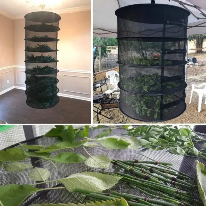 Séchoir à herbes et légumes pliable, filet de séchage 2 à 8 couches, panier suspendu à mailles pour poissons, fleurs, bourgeons et plantes 2