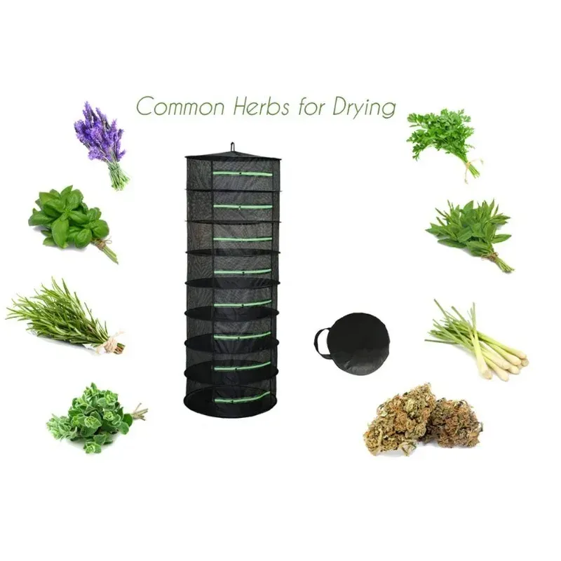 Séchoir à herbes et légumes pliable, filet de séchage 2 à 8 couches, panier suspendu à mailles pour poissons, fleurs, bourgeons et plantes 5