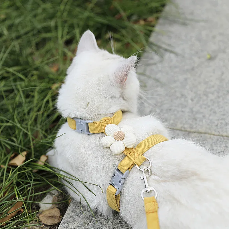 Ensemble harnais et laisse réglable pour chat et petit chien 2