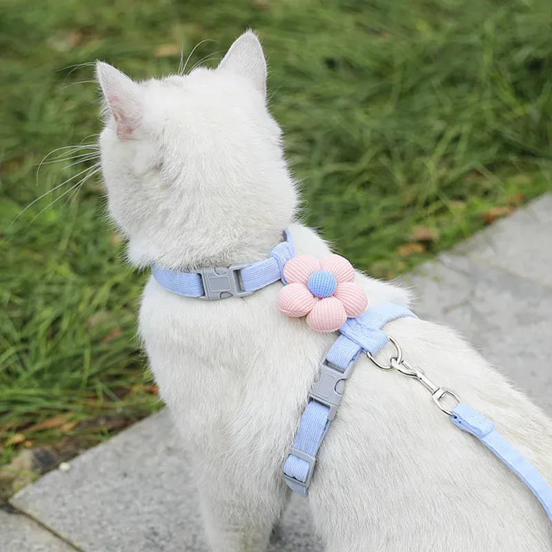 Ensemble harnais et laisse réglable pour chat et petit chien 4