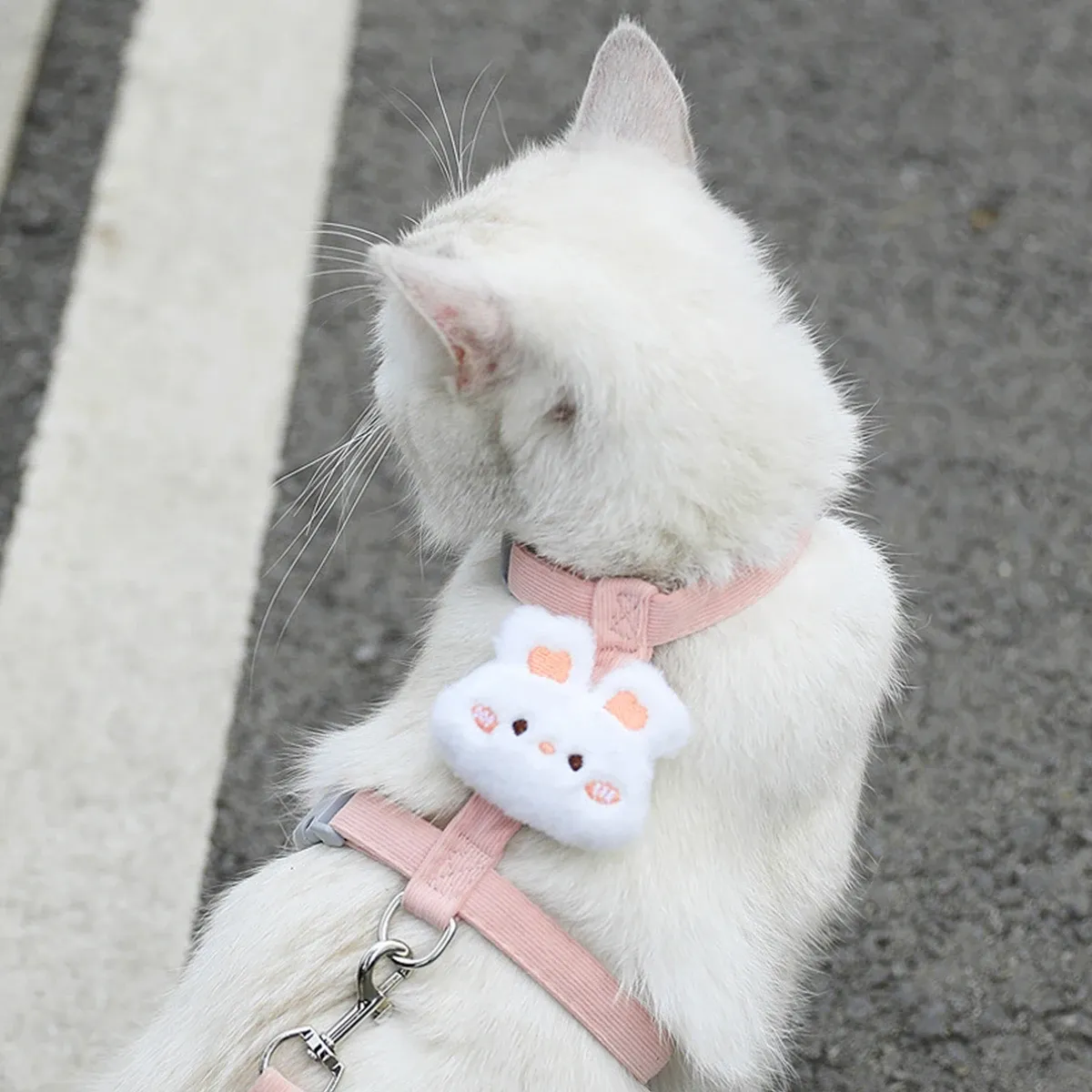 Ensemble harnais et laisse réglable pour chat et petit chien 15