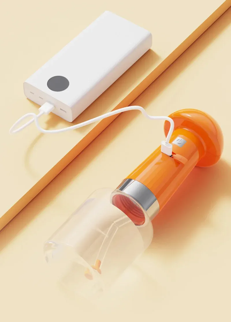 Accessoire de toilettage pour animaux de compagnie