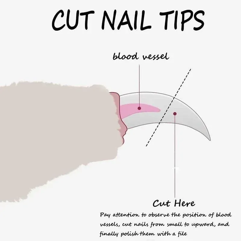 Coupe-ongles pour chiens et chats 3