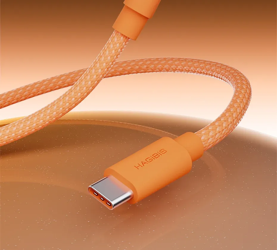 Détail du câble Hagibis USB-C