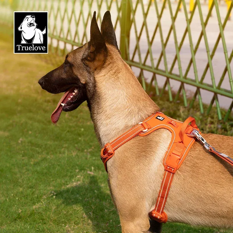 Harnais pour animaux de compagnie sans traction en nylon réfléchissant, réglable, style Step-in – TRUE LOVE TLH5654 6