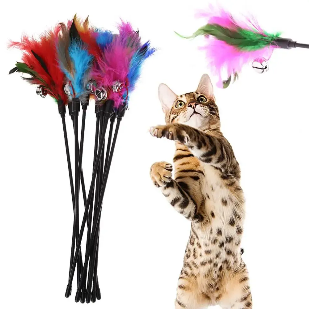 Jouet interactif pour chat avec tige teaser, clochette et plume (lot de 5, couleurs assorties) 6