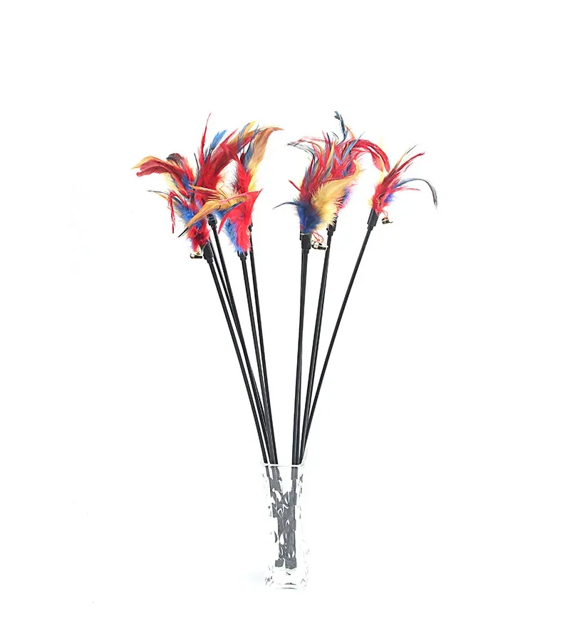 Jouet interactif pour chat avec tige teaser, clochette et plume (lot de 5, couleurs assorties) 11