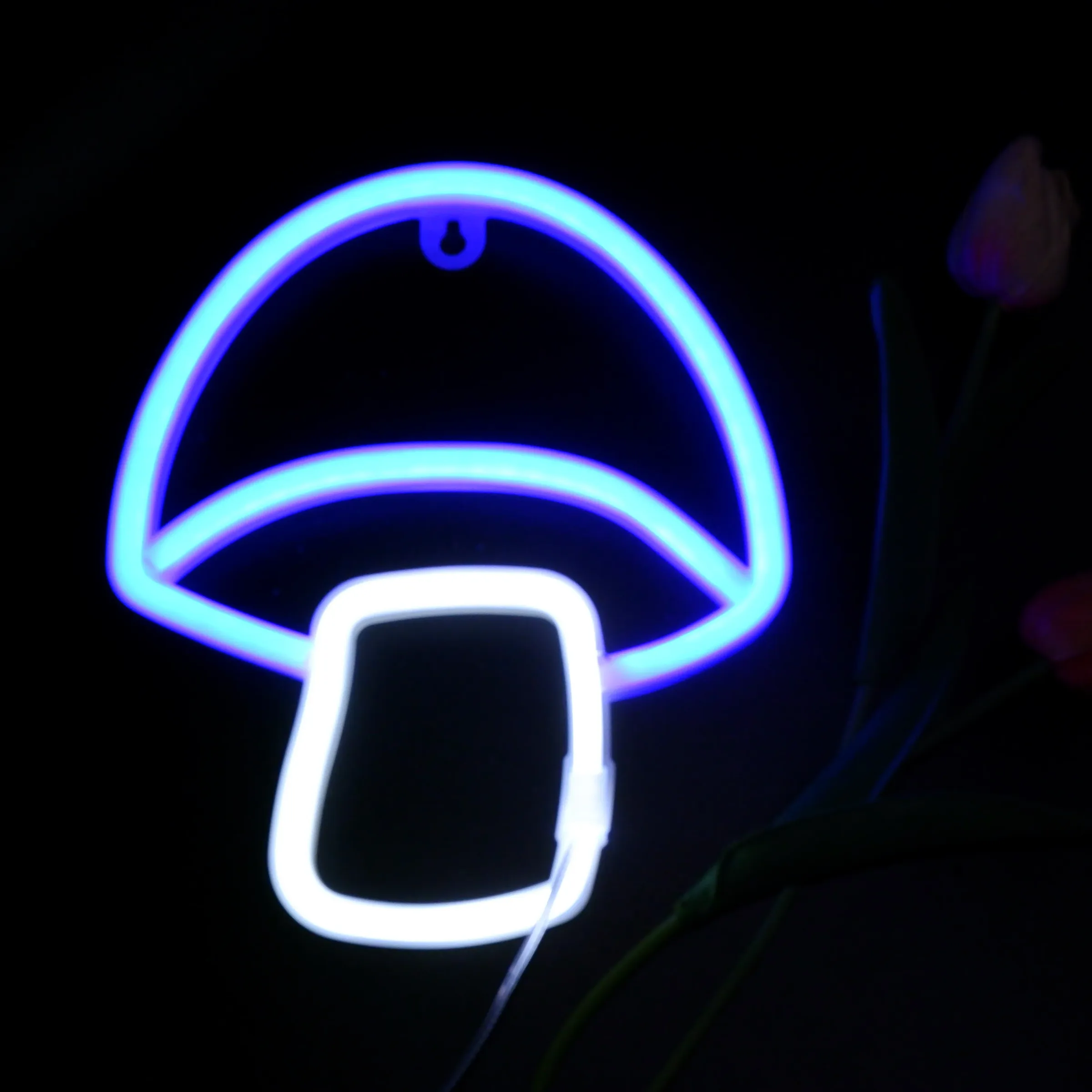 Enseigne néon LED avec alimentation USB/batterie, décoration murale pour bar, chambre, salle de jeux et mariage, idéale comme cadeau de Noël, éclairage personnalisable 18