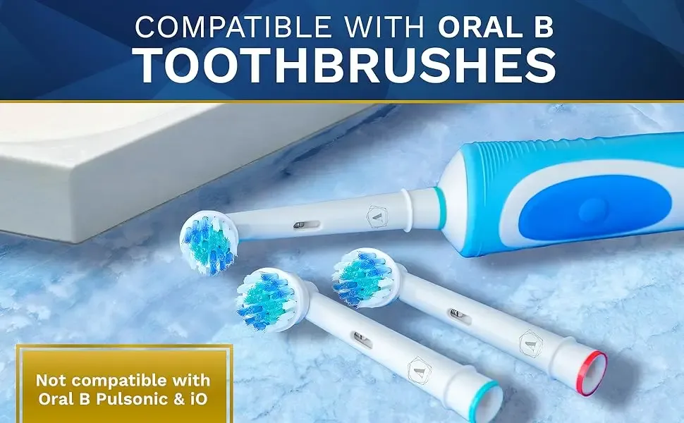 Détail des soies de la tête de brosse