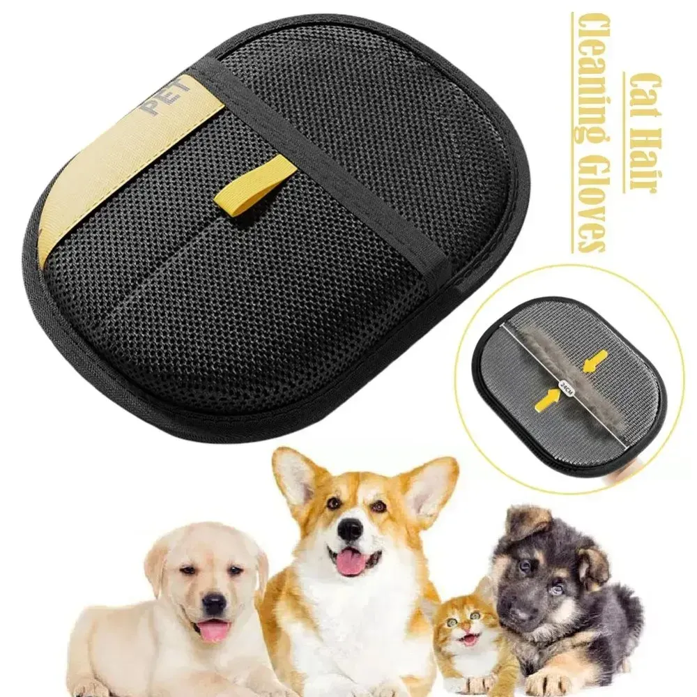 Gant anti-poils pour animaux, lifestyle