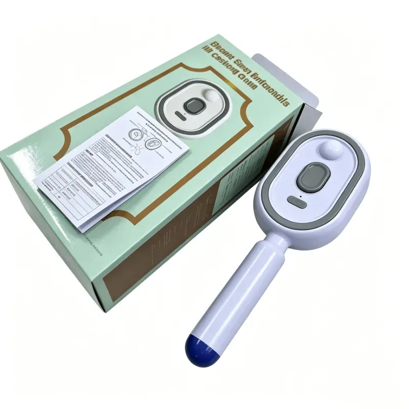 Brosse électrique à vapeur avec pulvérisation d'eau, rechargeable par USB-C, pour démêler, lisser, coiffer et dompter les frisottis 12