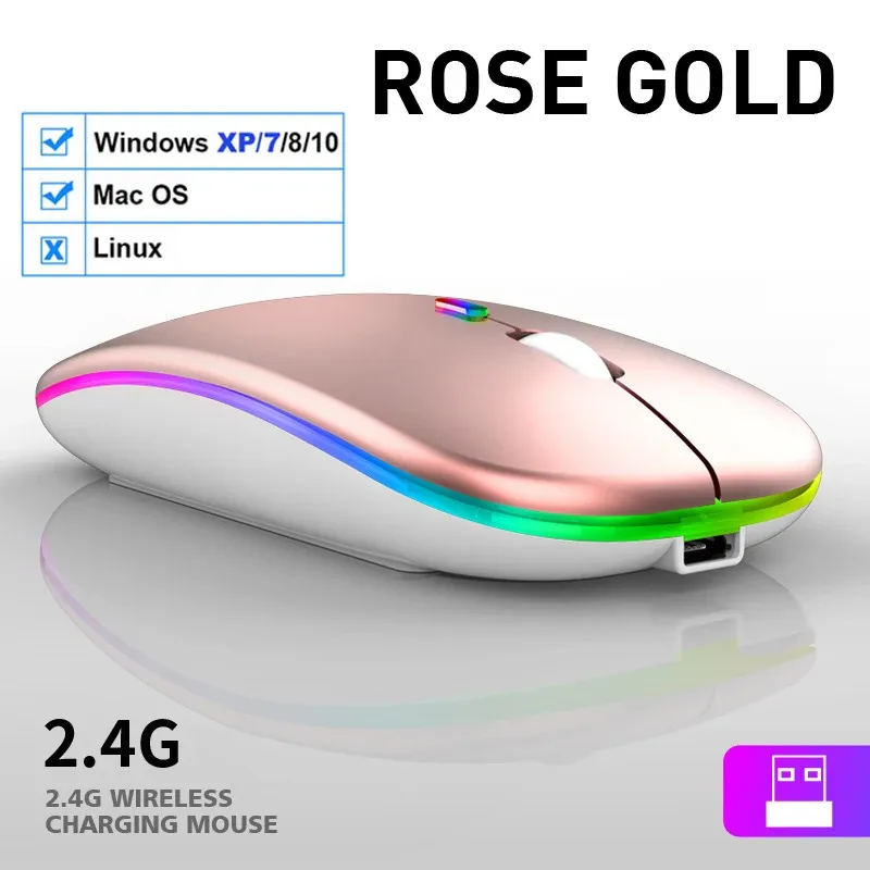 Souris sans fil ergonomique silencieuse RVB à rétroéclairage LED, connexions USB et Bluetooth, compatible ordinateur portable, PC et iPad 14
