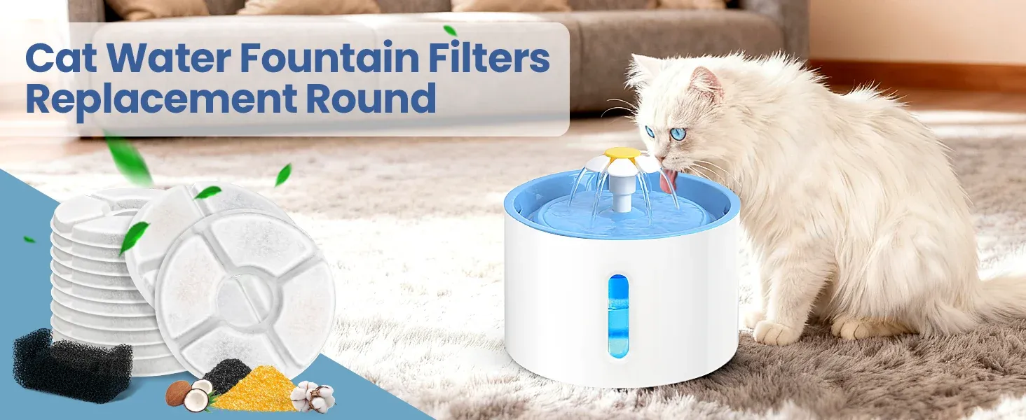Filtres de remplacement pour fontaine