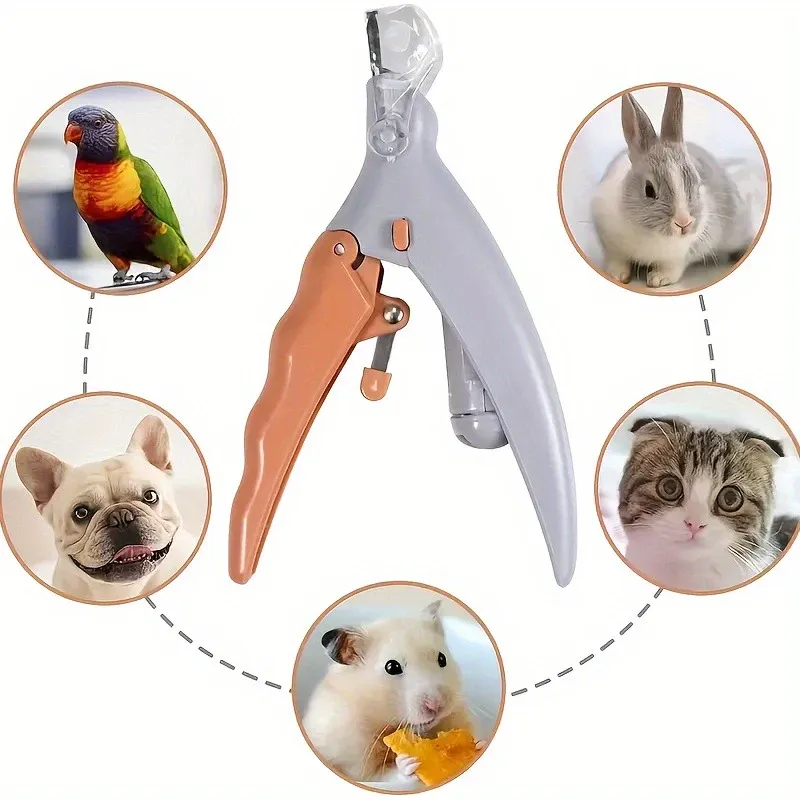 Coupe-ongles LED pour animaux de compagnie, finition soignée