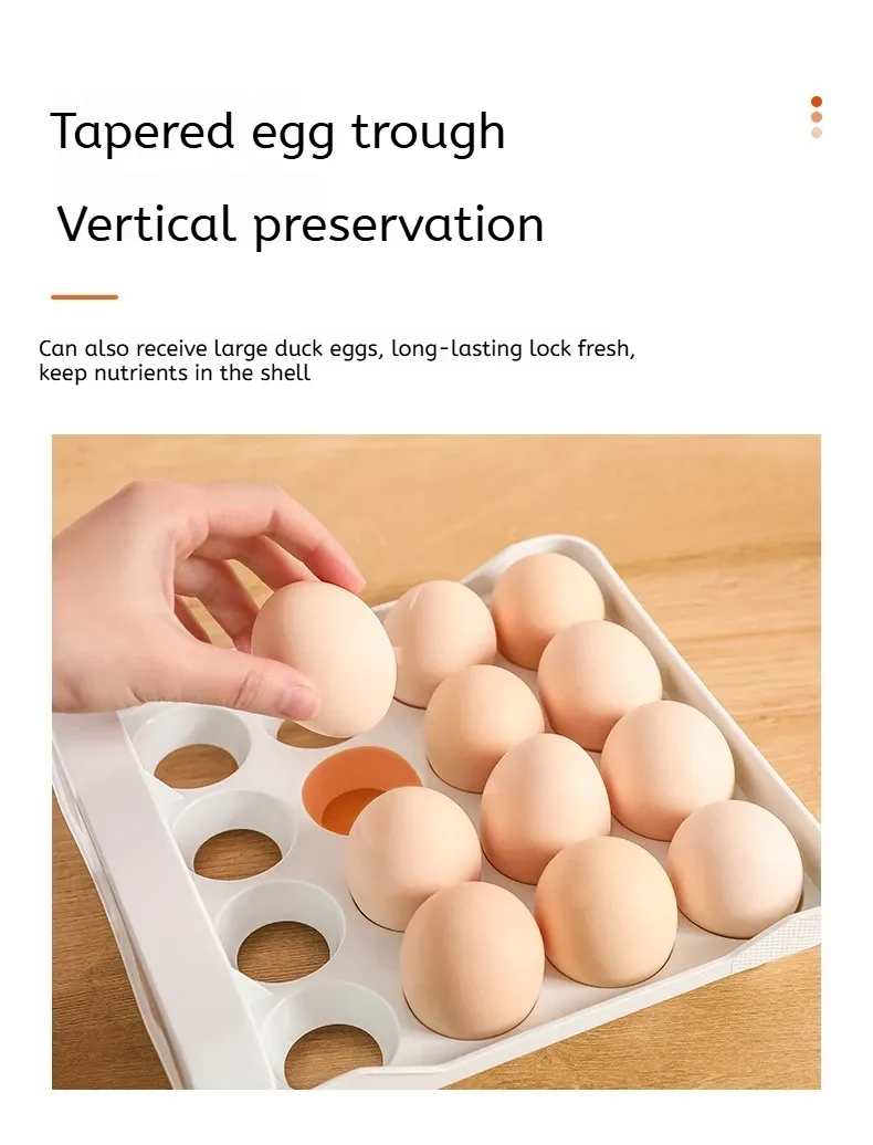 Bac à œufs conique pour conservation verticale
