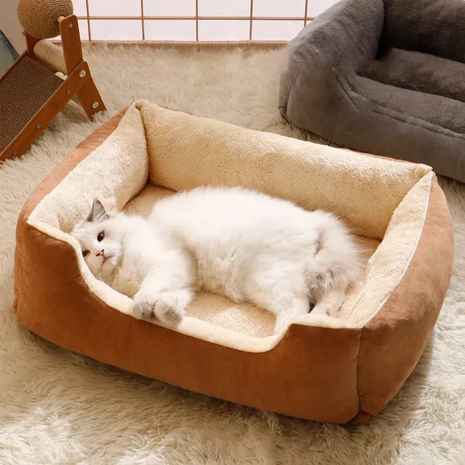 Animal se reposant dans son lit