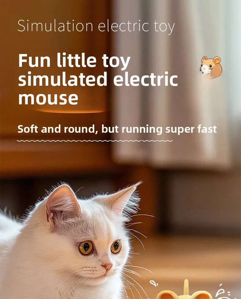 Jouet interactif pour chat, vue d'ensemble