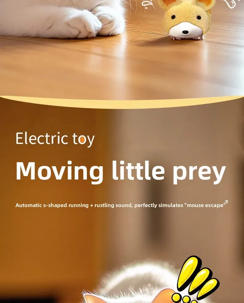 Jouet interactif pour chat, détail du design