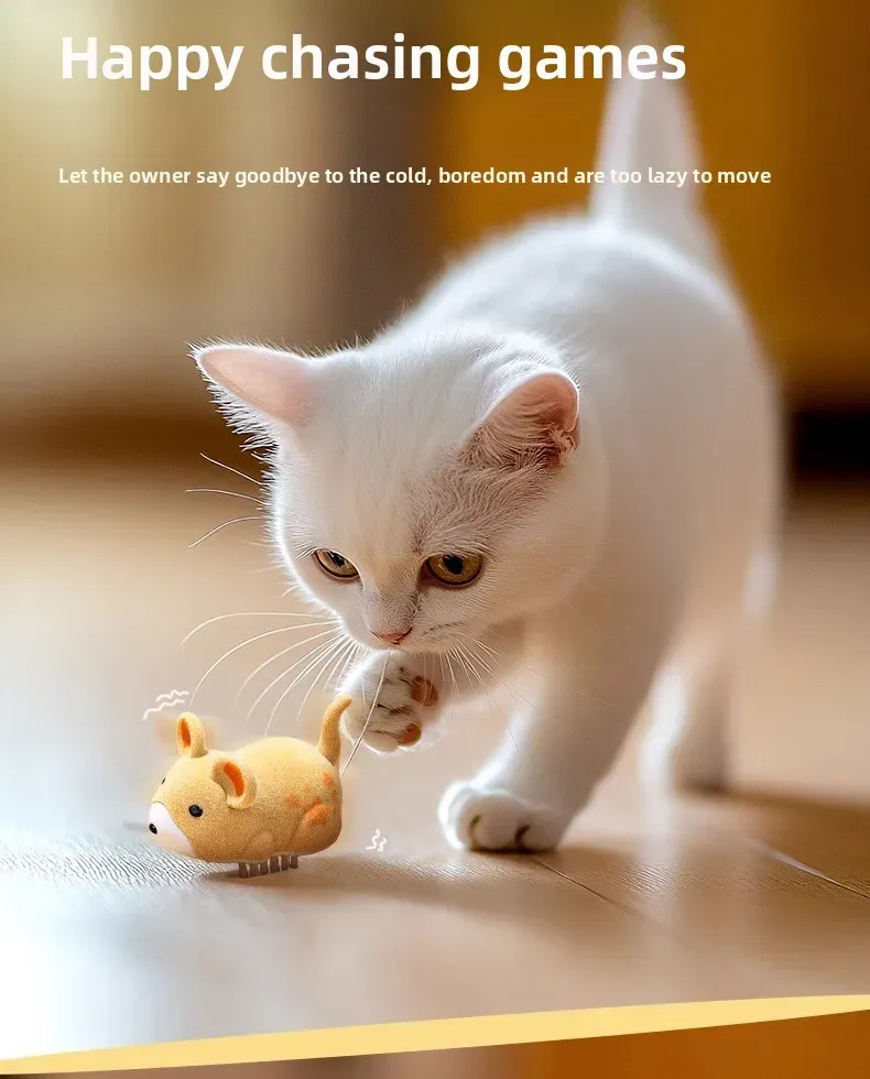 Jouet interactif pour chat, finitions