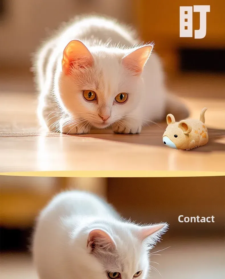 Jouet interactif pour chat, phase de capture