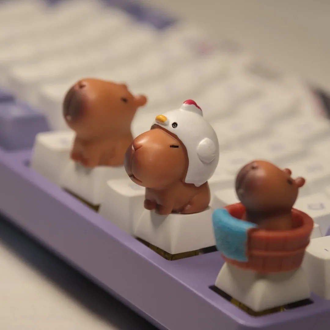 Capuchons de touches Capybara, vue d'ensemble